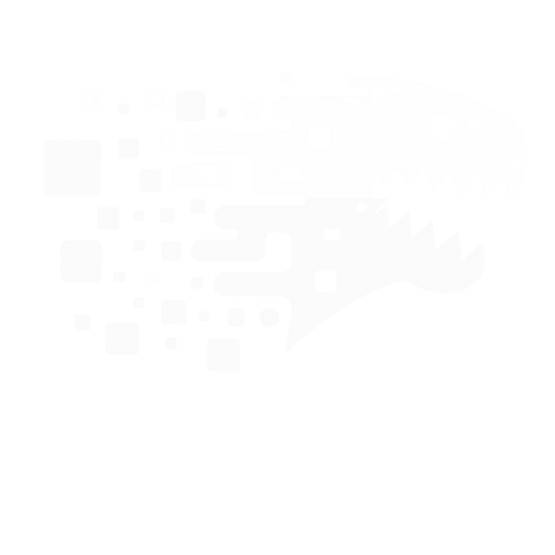 NESS Academy